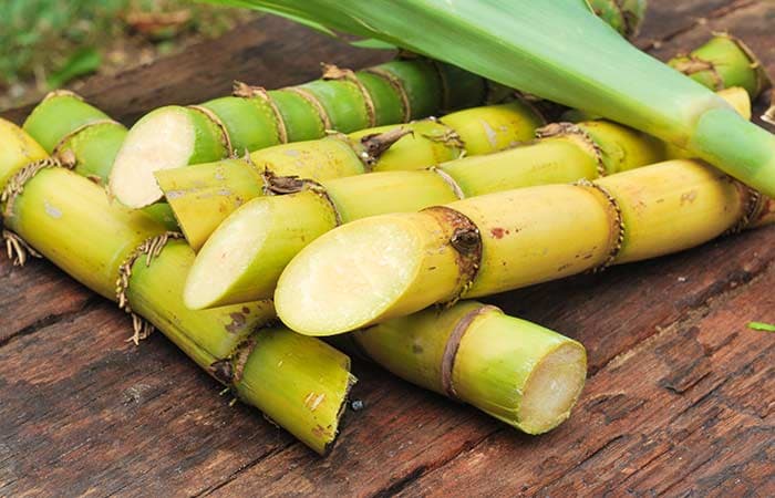 The fresh sugarcane